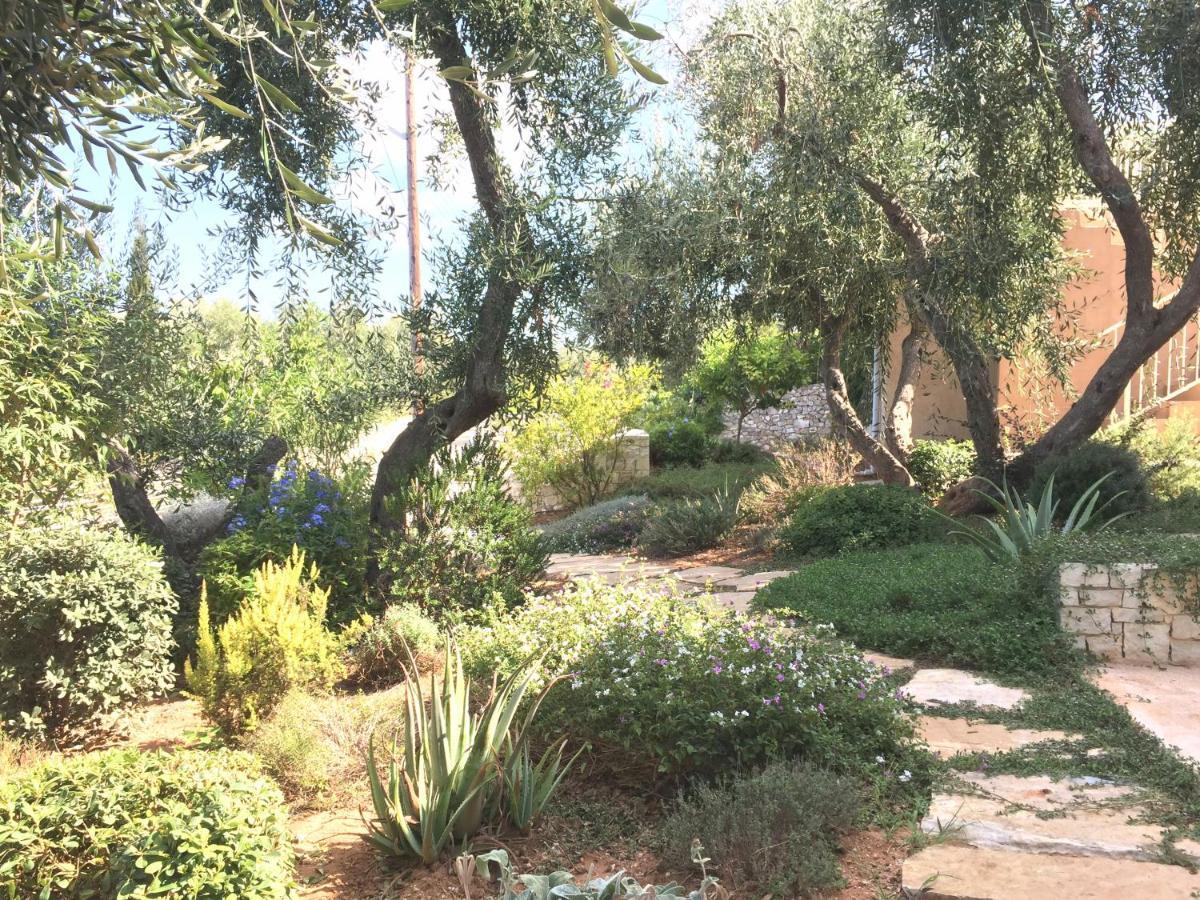 Villa Dinos Tranakatika المظهر الخارجي الصورة